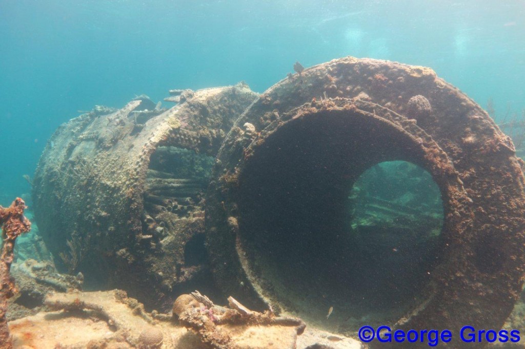 DivetripJune24a2013 057