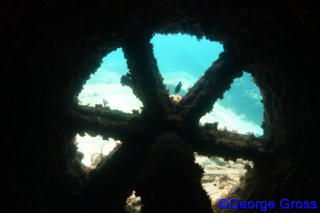 DivetripJune24a2013 067