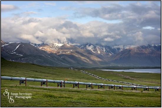 pipeline-along-the-highway
